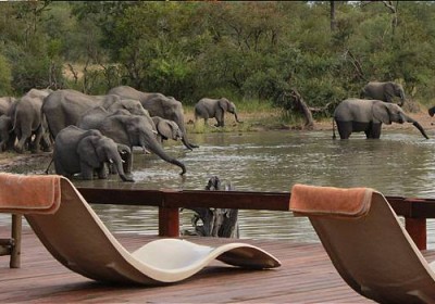 GOMO GOMO GAME LODGE